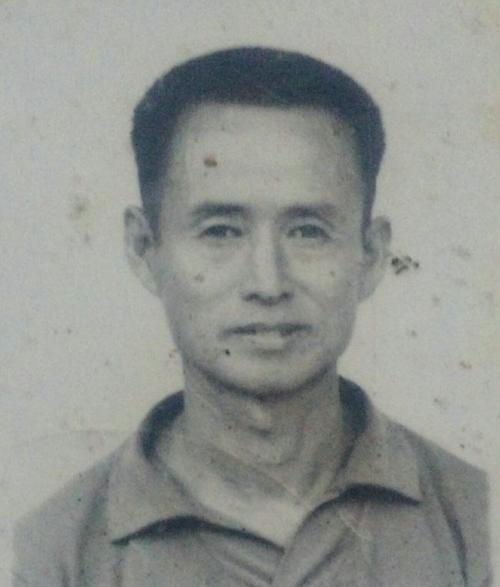 我想念我的_450字