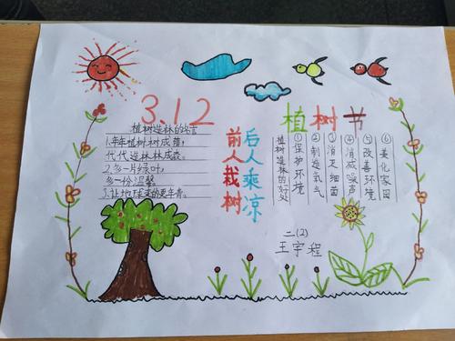 我们班级的阵容_600字