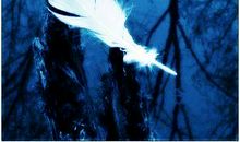 告别曾经，为梦前行_500字