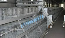 阶梯诗 心系水帘_50字