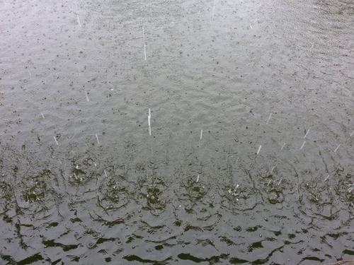 记住，多雨季节_1200字