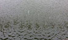 想起，雨季_1200字