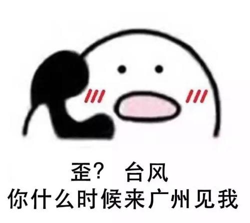 期待台风_400字