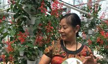 游九丰农博园有感