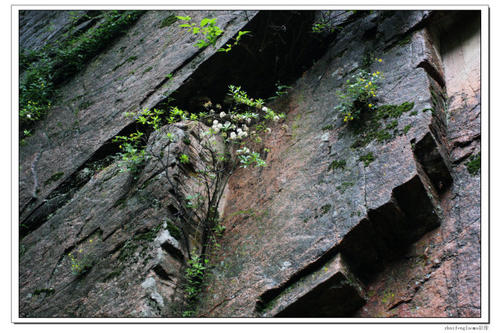 登山在雨中_900字
