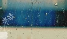 绵绵的秋雨，滋润了我的心田_650字