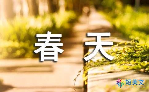 找一个夏天_300字