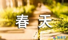 找夏天_300字