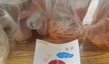 一份特殊的礼物_700字