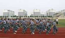 夏令营的收获_700字