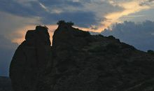 宁夏的旅游_800字