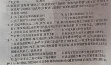 2011黄冈中考作文题目：说真话