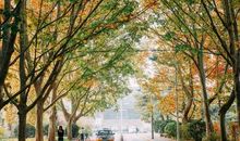 抒情哲理散文：爷爷就是那颗星_900字