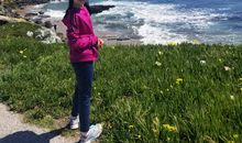 美丽的半月湾公园_350字