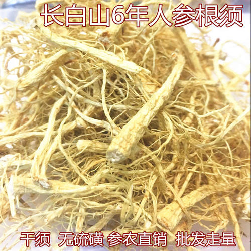 根_600字