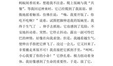 给舅母的一封信_750字