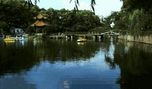 结在心灵上的疤_900字