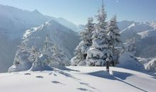 关于雪景的作文：美丽的雪景_1500字