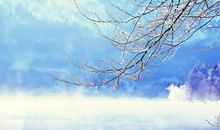 关于雪景的作文：美丽的雪景_350字