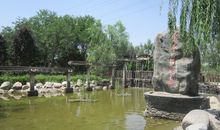 暑假游记——回到兰州_600字