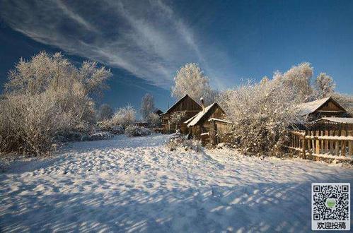 在雪景上的构图：美丽的雪景_450字