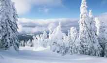 关于雪景的作文：冬天的雪景_600字