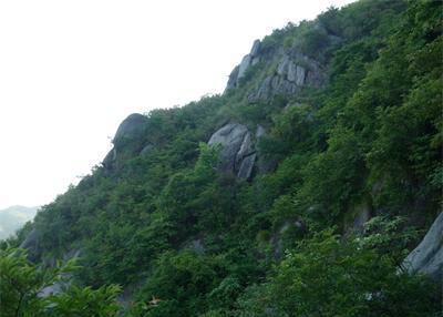 暑假旅行 - 玉山印象_150字