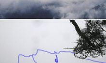 关于雾的作文：晨雾中的九华山_1500字