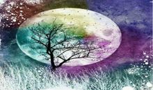 阿波罗和月桂树