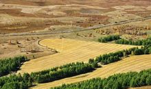 五律——重征_50字