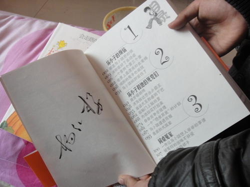 写信给杨红石阿姨_550字