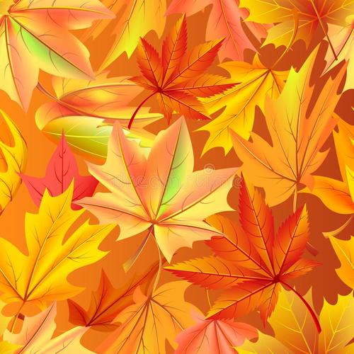 单位成分：秋叶_800字