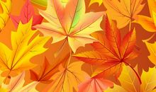 单元作文：秋天的树叶_800字