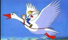 单元作文：假如我有一只尼尔斯的鹅_450字