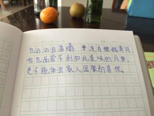 单位成分：一个有趣的实验_1000字