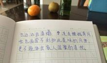 单元作文：一次有趣的实验_1000字
