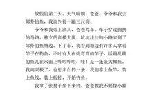 单元作文：钓鱼_400字