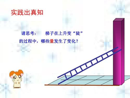 思考真正的知识_900字