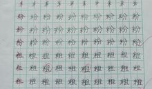 脚踏实地，一步一路_900字