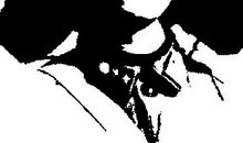 我们是一位小雷锋_250字