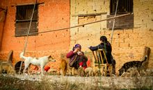 母爱，滋润了我的心田_450字