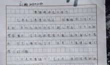 千万个雷锋在成长_800字