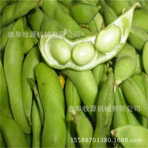 剥豆_600字