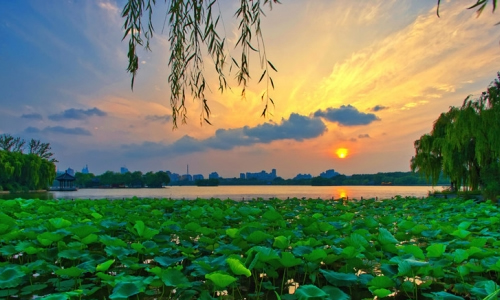 夏天的组成：夏夜_900字
