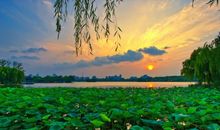 关于夏天的作文：夏天的夜晚_900字