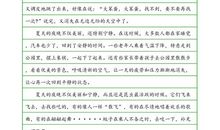 关于夏天的作文：夏天的夜晚_150字