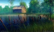 乡村夏天的夜晚_500字