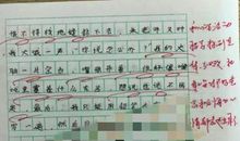 我的“老师”_500字