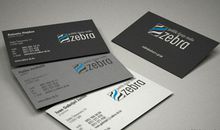 小象的名片_500字