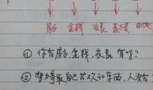 幸福的定义_800字
